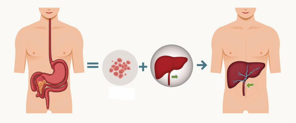 excess body fat leading to fatty liver infiltration, fat cells migrating into the liver