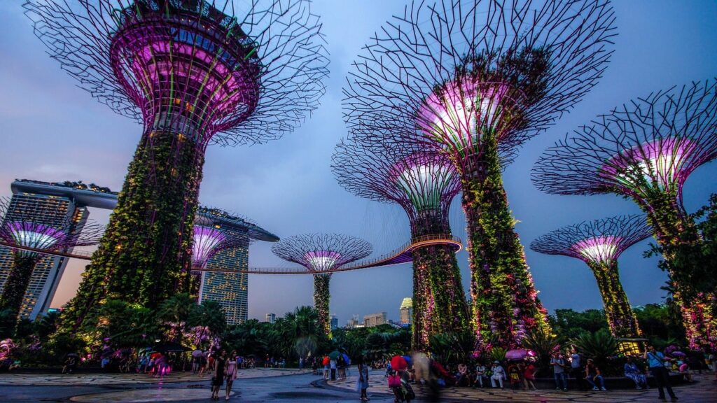 Singapore Malaysian package. Gardens by the Bay Super Tree Grove. 