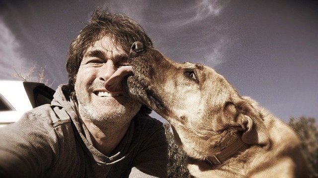 A dog affectionately licking a smiling man’s face 