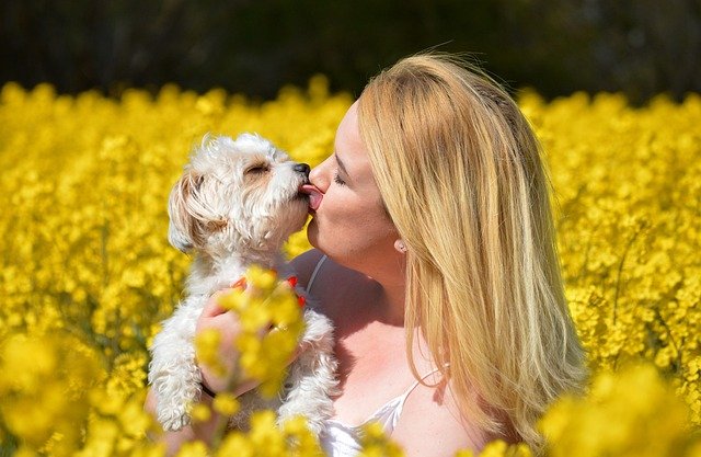 A woman sharing a gentle moment as her small dog licks her face