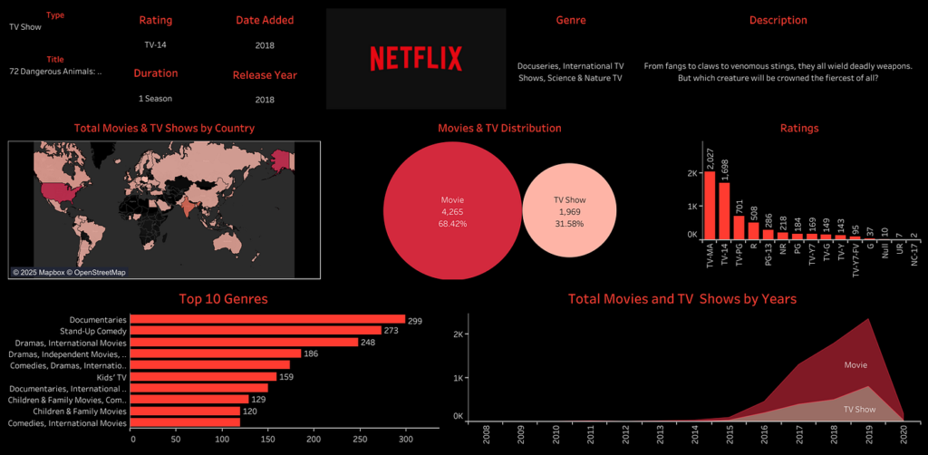 Netflix analytics dashboard showing global distribution of movies and TV shows by country